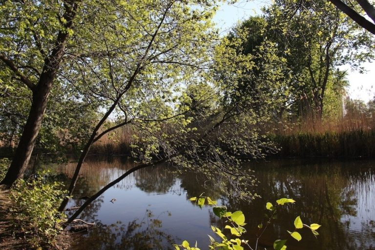 Back Bay Fens