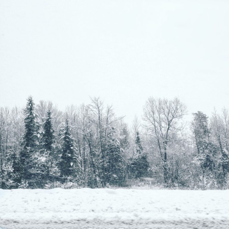 Tempête de neige