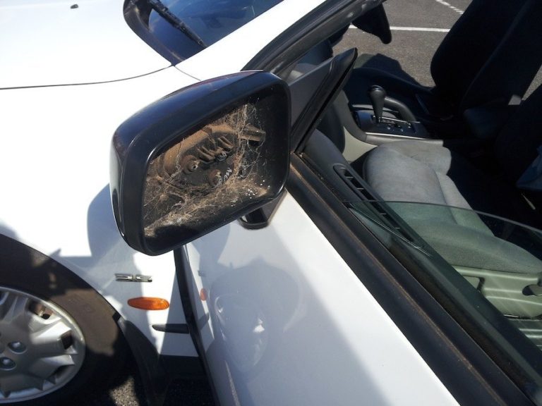 Miroir brisé du côté passager