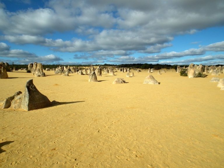 Pinnacles, dans le Western Australia