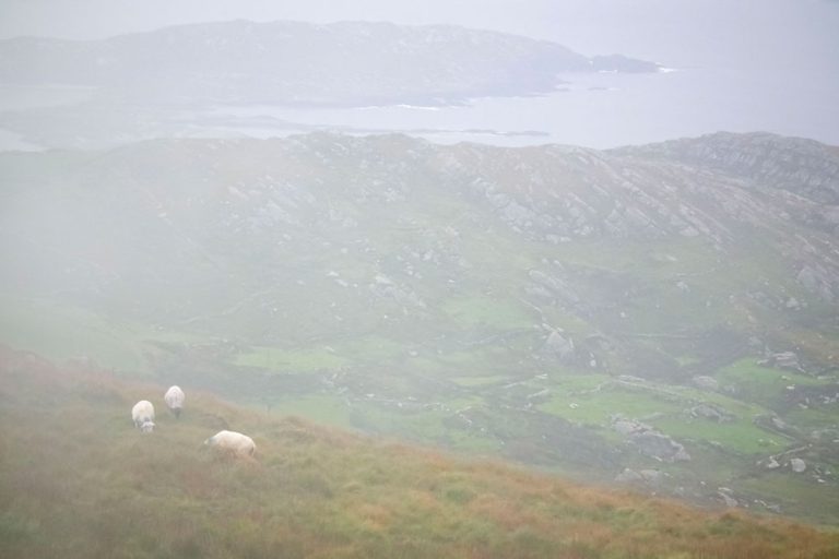 Brouillard sur le Ring of Kerry