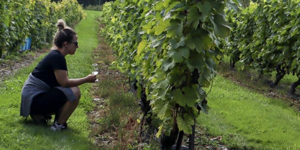 Image à la une : voyager seul