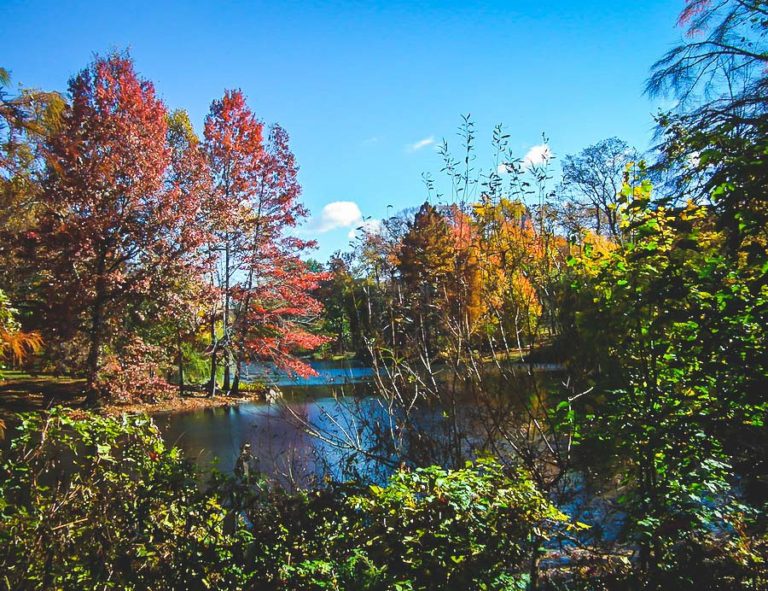 Central Park l'automne
