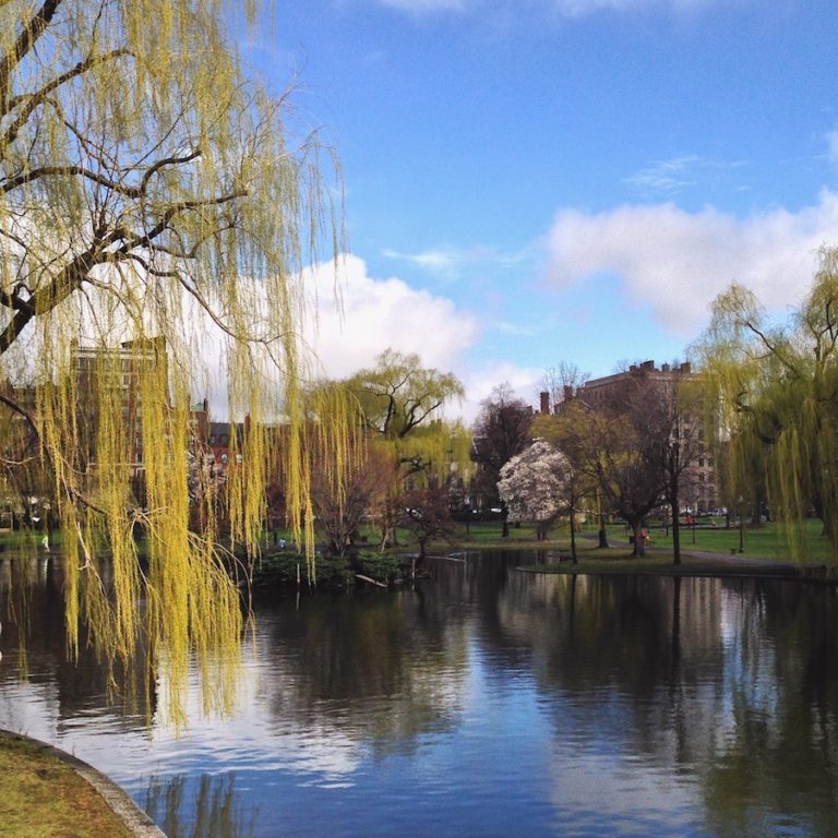Boston Public Gardens