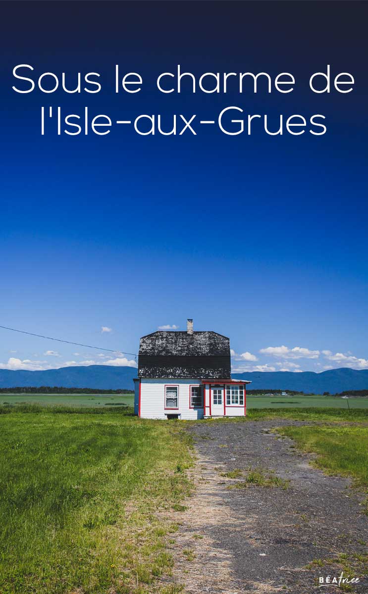 Image pour Pinterest : Isle-aux-Grues