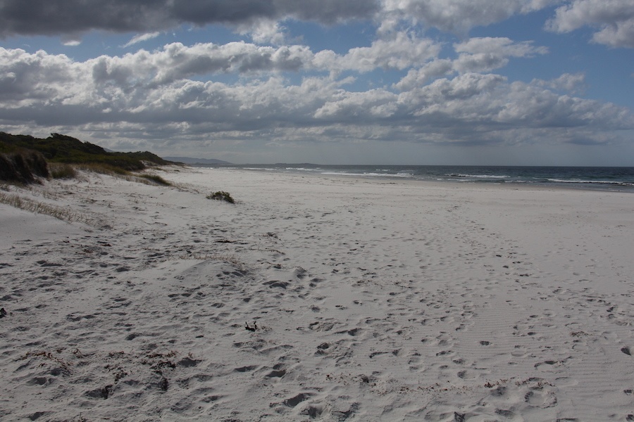 Plage Denison en Tasmanie