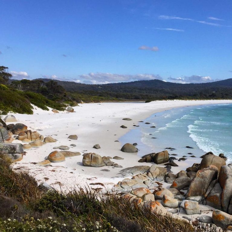 Plage Bay of Fires