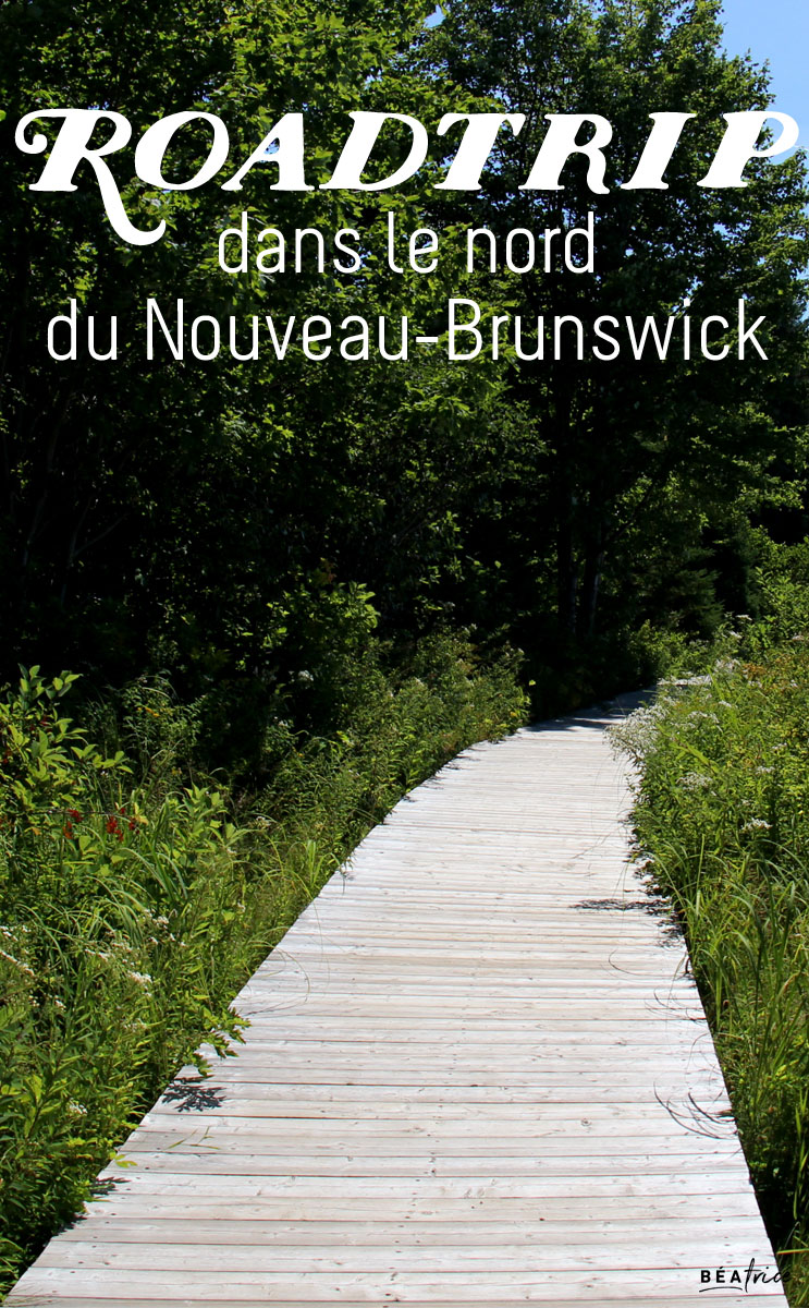 Image pour Pinterest : roadtrip Nouveau-Brunswick