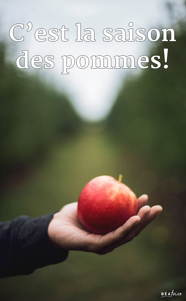 Image pour Pinterest : saison des pommes québec