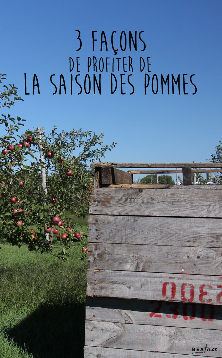 Image pour Pinterest : saison des pommes