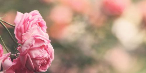 Image à la une : Boutique Béatrice