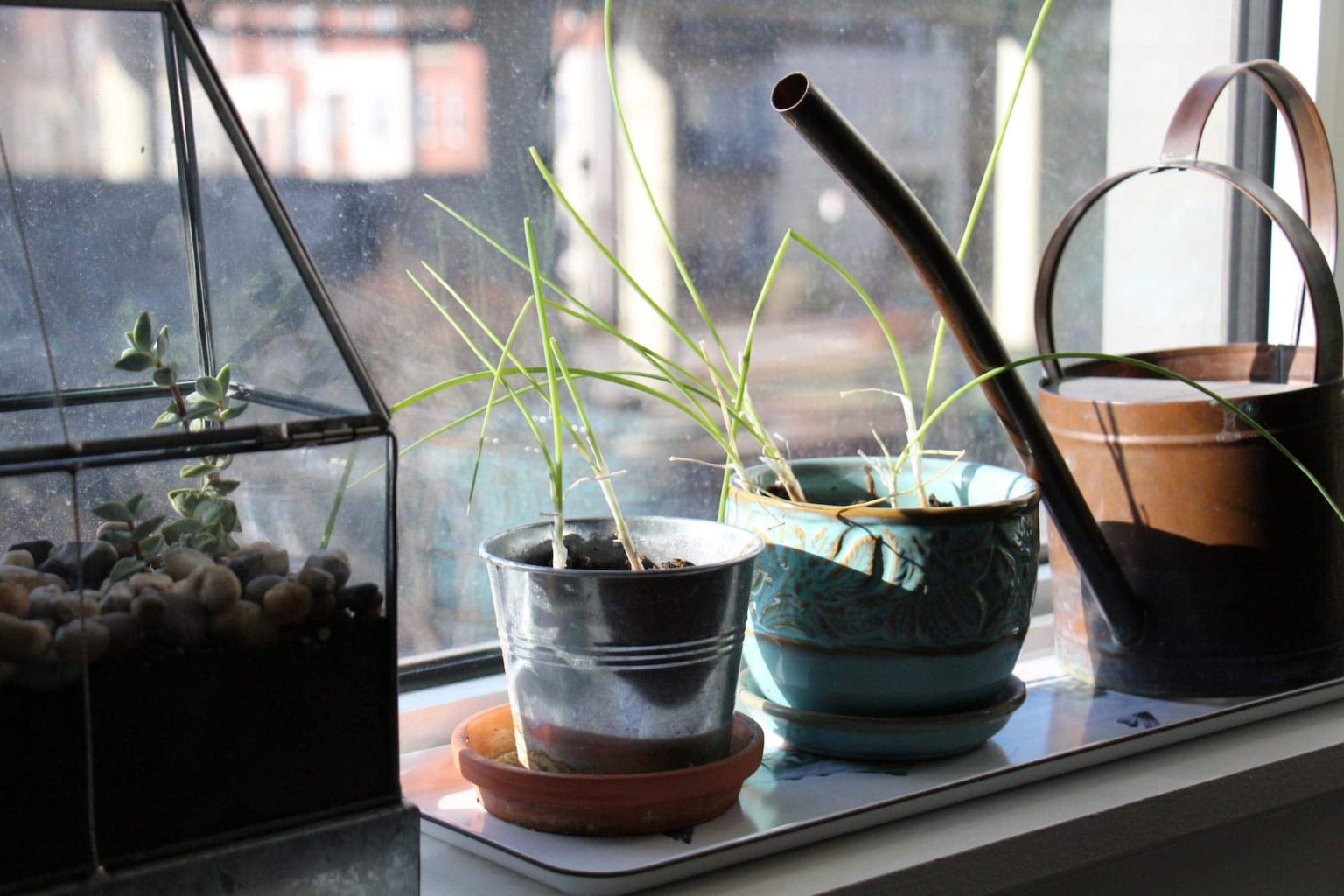 10 articles pour la maison que j'ai achetés au Dollarama Béatrice