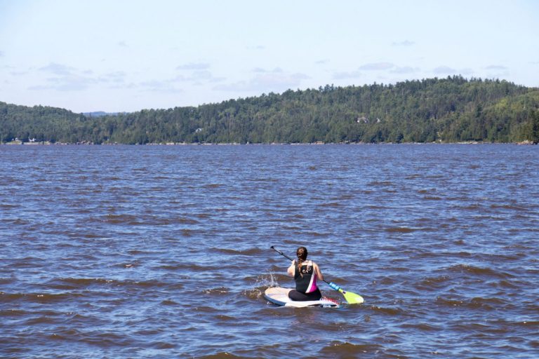 SUP sur le lac Témiscamingue