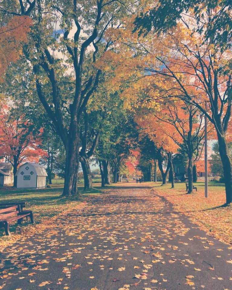 Sentier à la Maison Mère l'automne