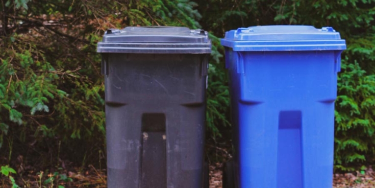 Image &agrave; la une : faire les poubelles