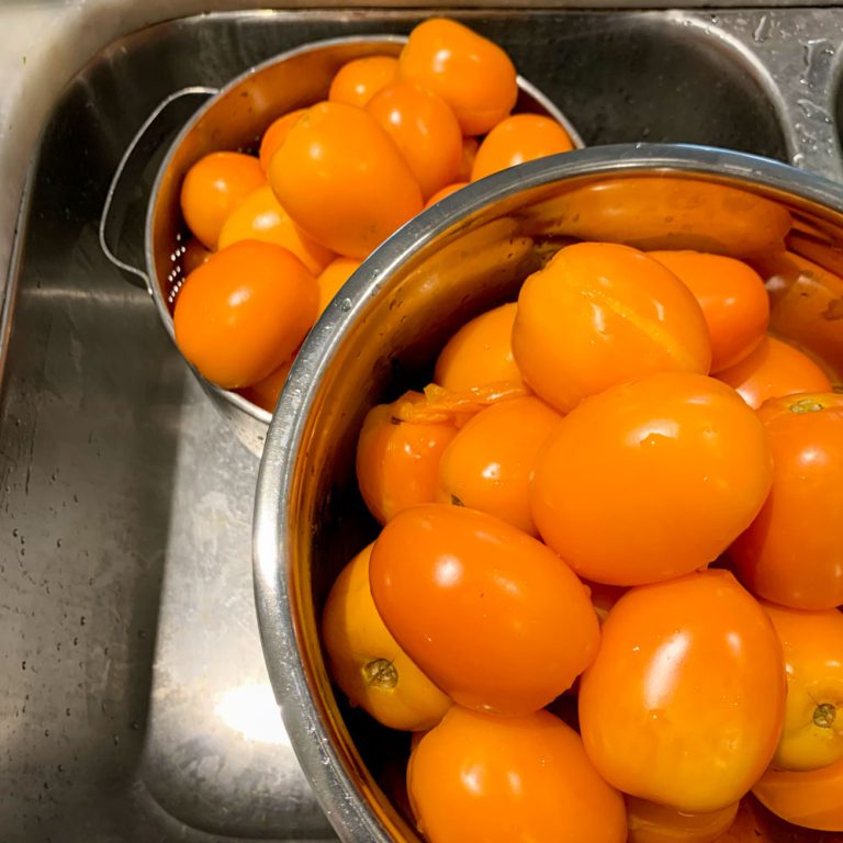 Tomates blanchies avec la peau