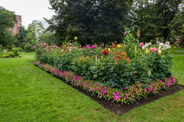 Jardin au Halifax Public Gardens