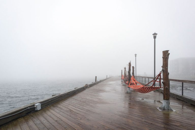 Les hamacs du boardwalk de Halifax dans le brouillard