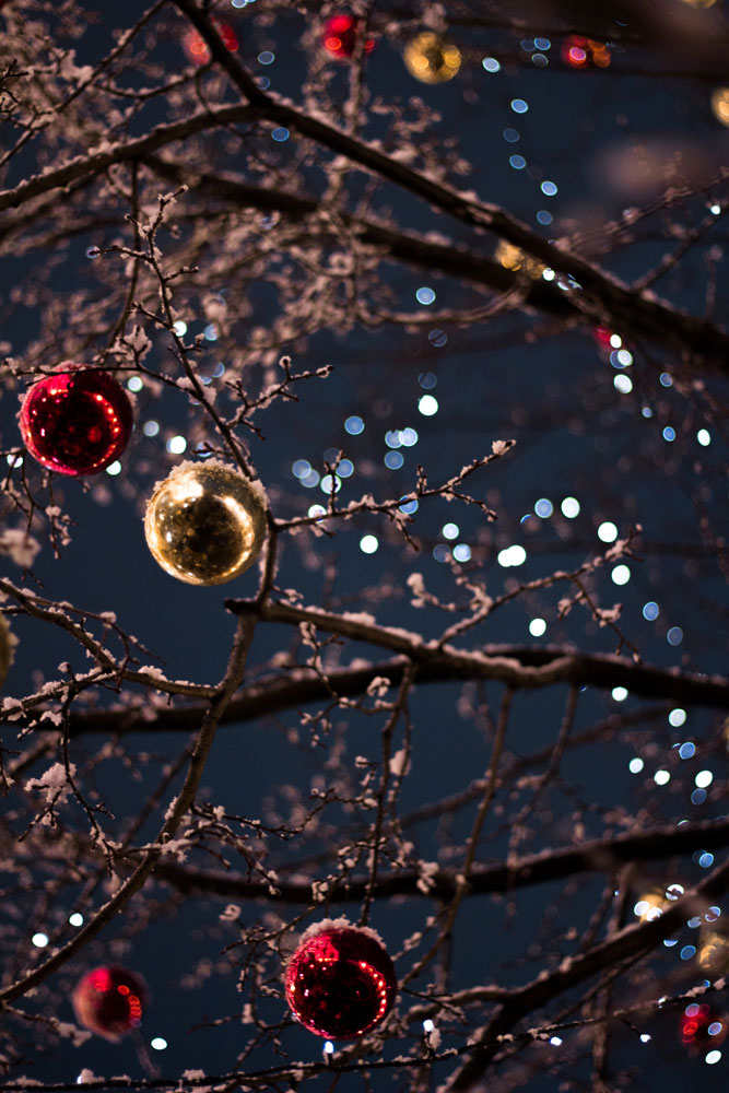 Décorations de Noël dans un arbre à l'extérieur