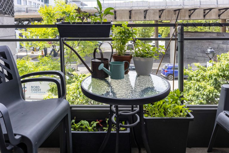 Table de balcon et quelques légumes et fines herbes