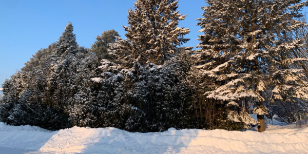 Image à la une : activités gratuites semaine de relâche