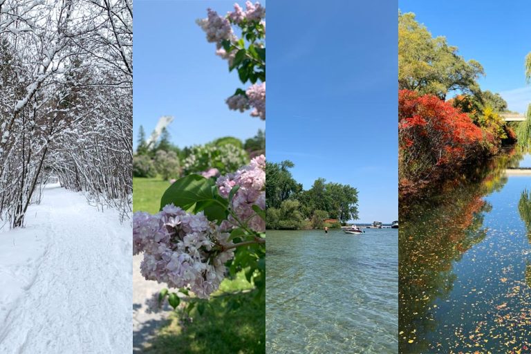 Activit&eacute;s par saison