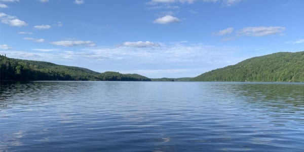 Image à la une : Découvertes 2025