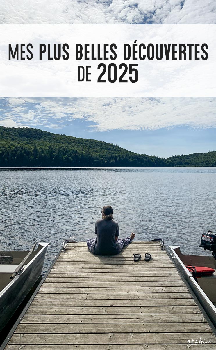 Image pour Pinterest : D&eacute;couvertes 2025