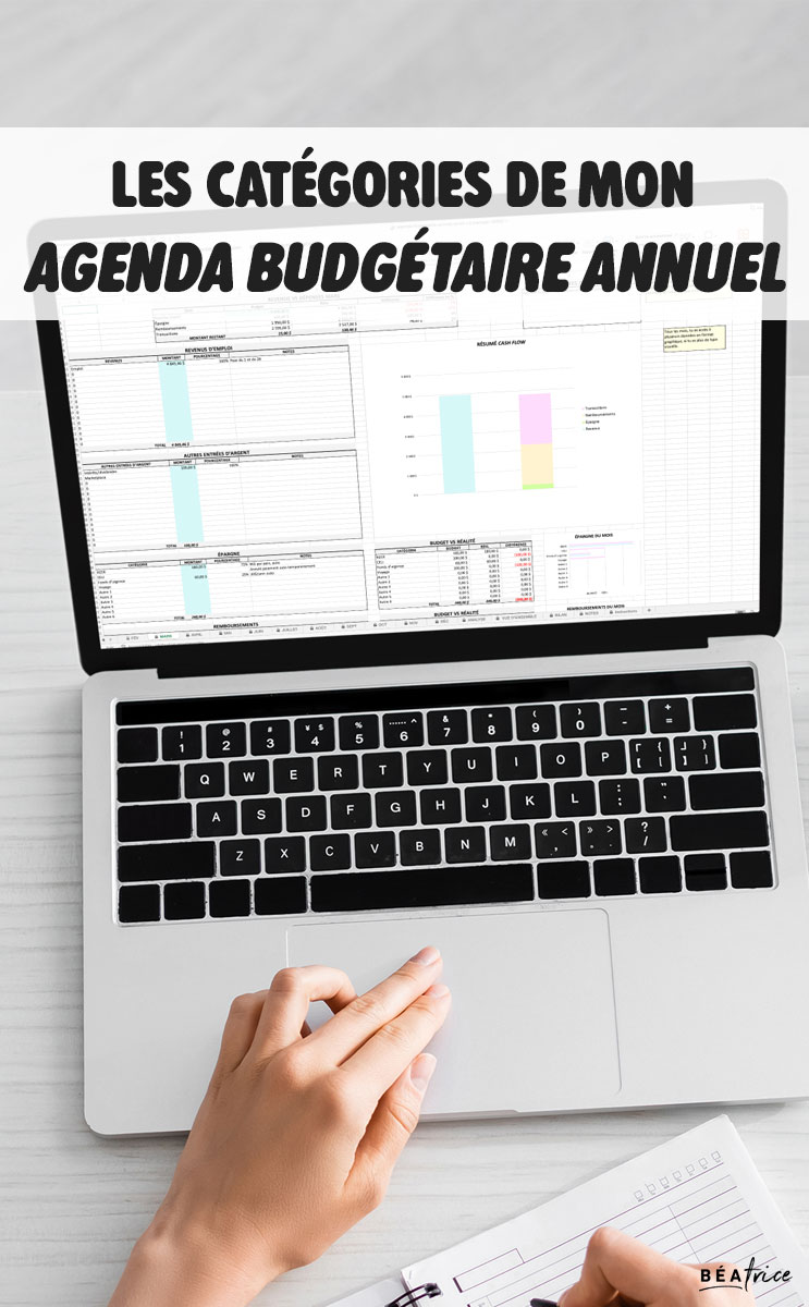 Image pour Pinterest : cat&eacute;gories agenda budg&eacute;taire annuel